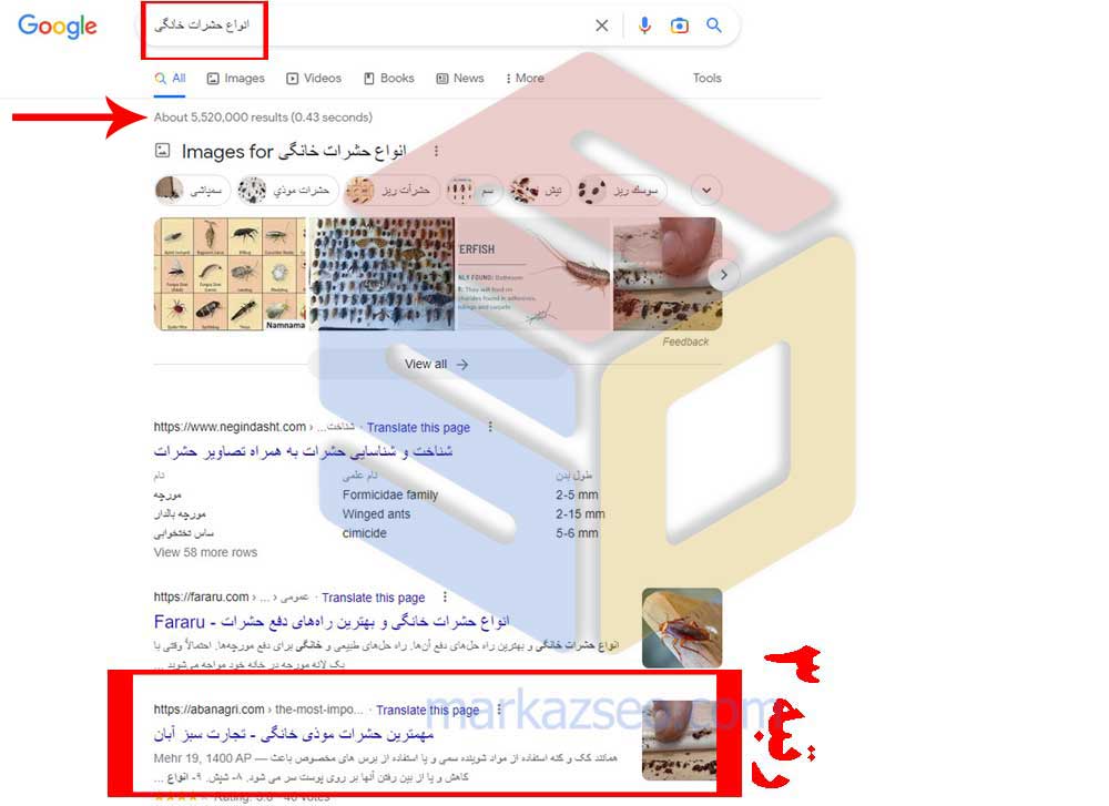 نمونه کار سئو