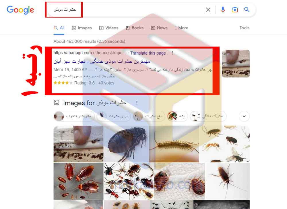 نمونه کار سئو