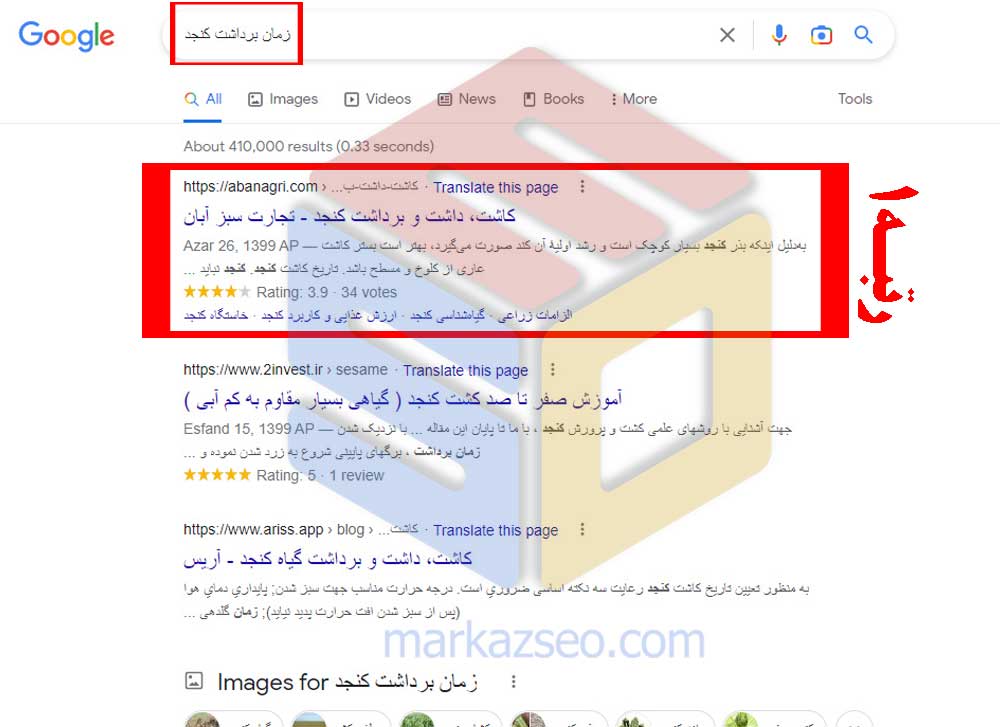 زمان برداشت کنجد