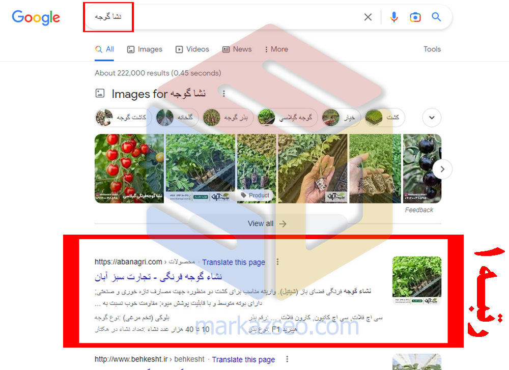 نمونه کار سئو