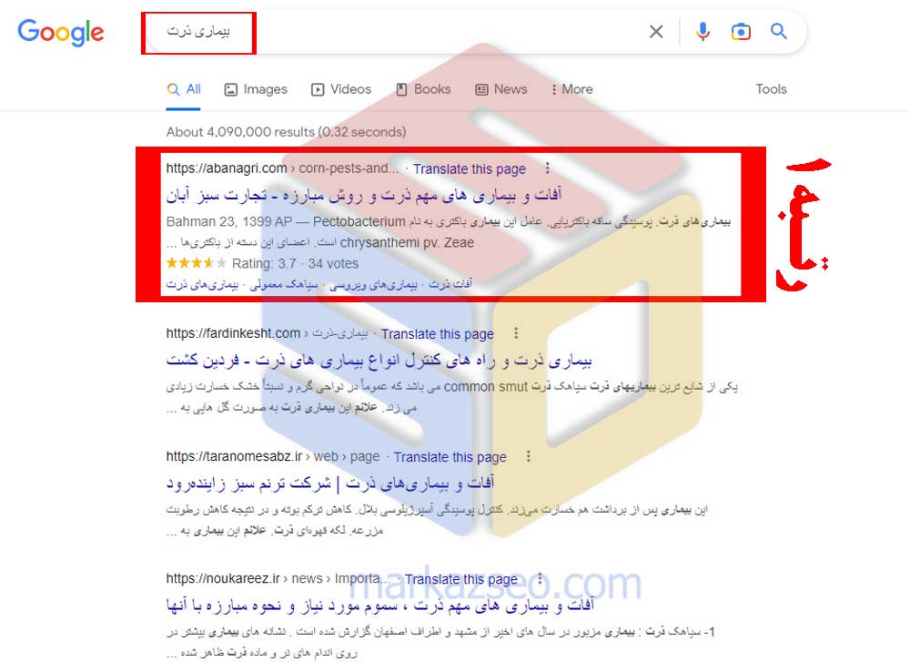 عکس نمونه کار سئو