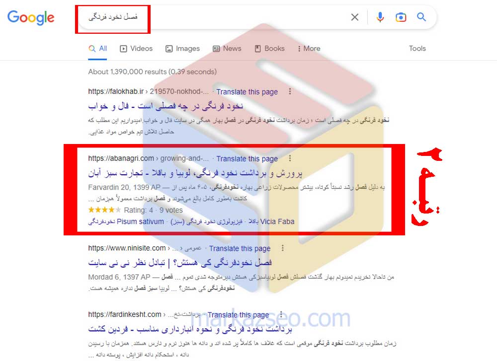 عکس نمونه کار سئو